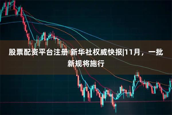 股票配资平台注册 新华社权威快报|11月，一批新规将施行
