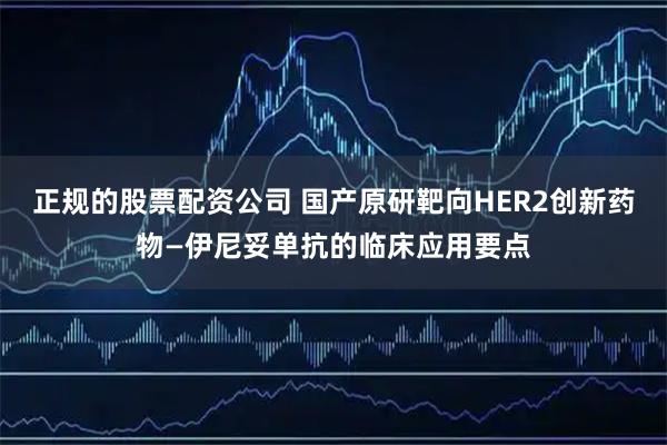 正规的股票配资公司 国产原研靶向HER2创新药物—伊尼妥单抗的临床应用要点
