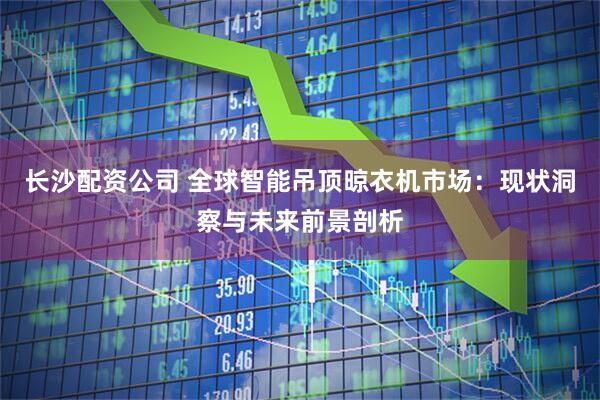 长沙配资公司 全球智能吊顶晾衣机市场：现状洞察与未来前景剖析